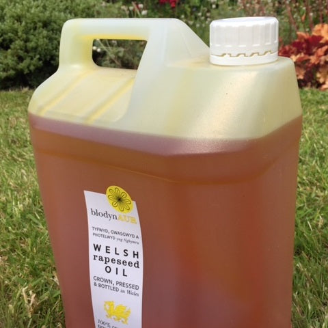 Blodyn Aur Welsh Rapeseed Oil 5L